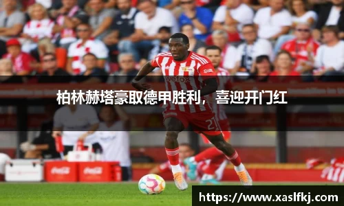 完美体育在线入口官网