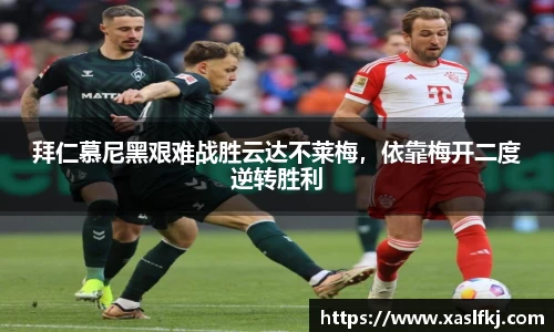 完美体育官网