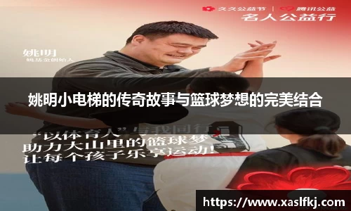 完美体育在线入口官网