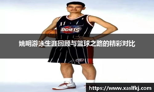完美体育app下载安装
