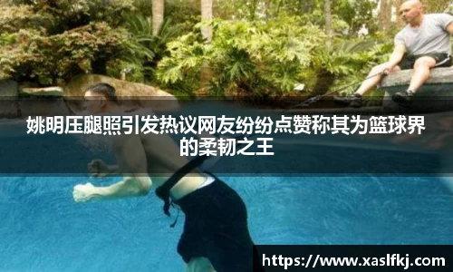 完美体育在线入口官网