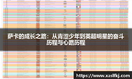 完美体育官网